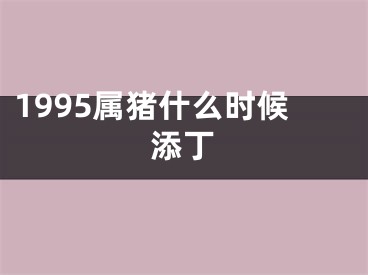 1995属猪什么时候添丁