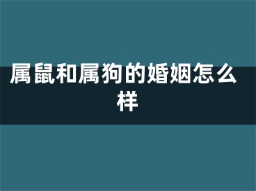属鼠和属狗的婚姻怎么样