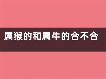 属猴的和属牛的合不合