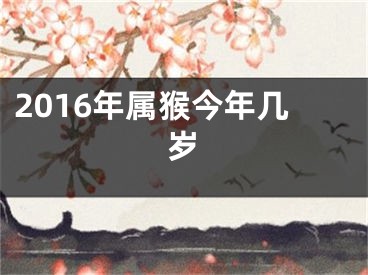 2016年属猴今年几岁