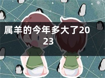 属羊的今年多大了2023