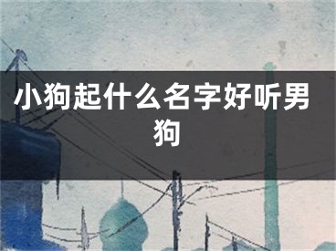 小狗起什么名字好听男狗
