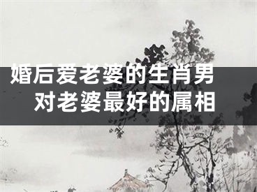婚后爱老婆的生肖男 对老婆最好的属相