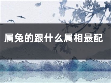 属兔的跟什么属相最配