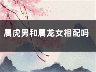 属虎男和属龙女相配吗