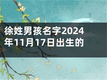 徐姓男孩名字2024年11月17日出生的
