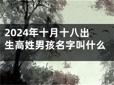 2024年十月十八出生高姓男孩名字叫什么