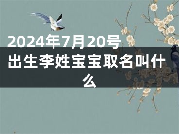 2024年7月20号出生李姓宝宝取名叫什么
