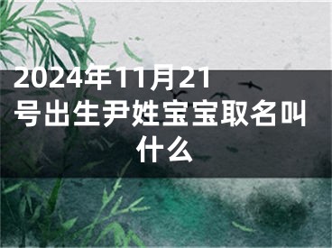 2024年11月21号出生尹姓宝宝取名叫什么