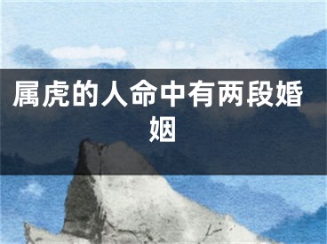 属虎的人命中有两段婚姻