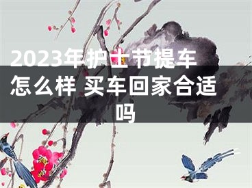 2023年护士节提车怎么样 买车回家合适吗