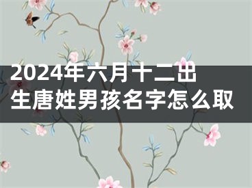 2024年六月十二出生唐姓男孩名字怎么取