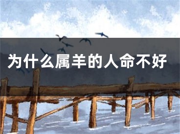 为什么属羊的人命不好
