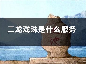 二龙戏珠是什么服务