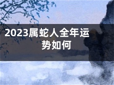 2023属蛇人全年运势如何