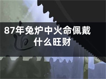 87年兔炉中火命佩戴什么旺财