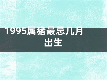 1995属猪最忌几月出生