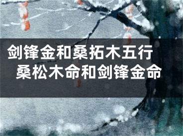 剑锋金和桑拓木五行 桑松木命和剑锋金命