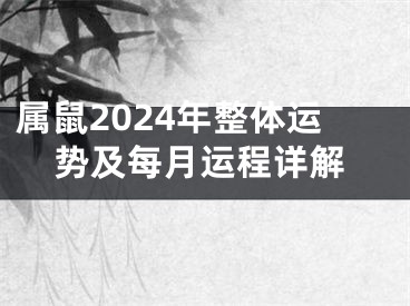属鼠2024年整体运势及每月运程详解