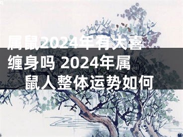 属鼠2024年有大喜缠身吗 2024年属鼠人整体运势如何