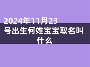 2024年11月23号出生何姓宝宝取名叫什么