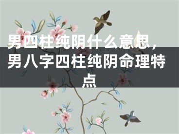 男四柱纯阴什么意思，男八字四柱纯阴命理特点