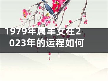 1979年属羊女在2023年的运程如何