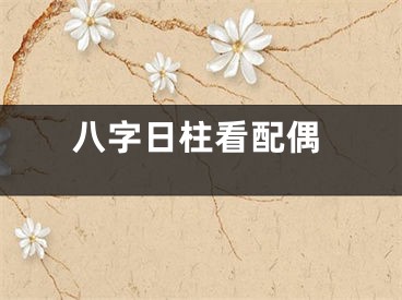 八字日柱看配偶