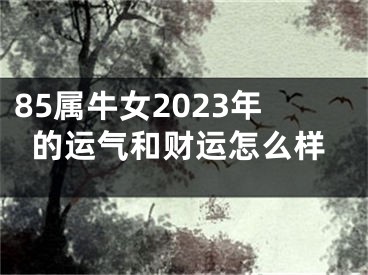85属牛女2023年的运气和财运怎么样