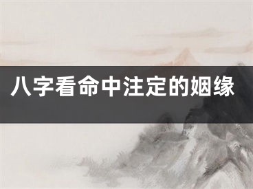 八字看命中注定的姻缘