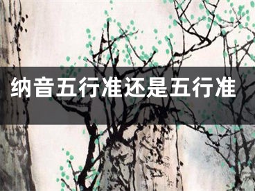 纳音五行准还是五行准