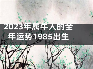2023年属牛人的全年运势1985出生