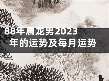 88年属龙男2023年的运势及每月运势