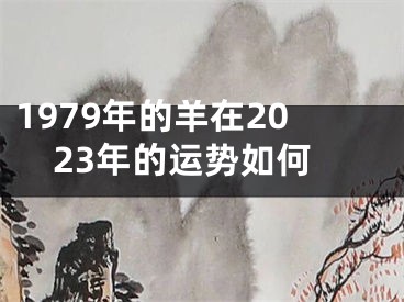 1979年的羊在2023年的运势如何
