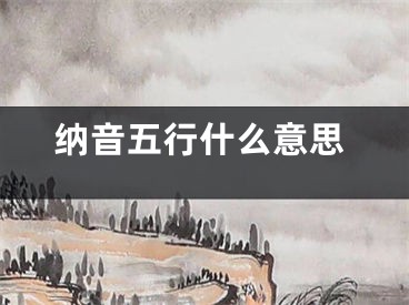 纳音五行什么意思