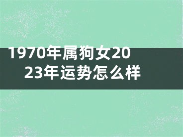 1970年属狗女2023年运势怎么样