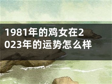 1981年的鸡女在2023年的运势怎么样