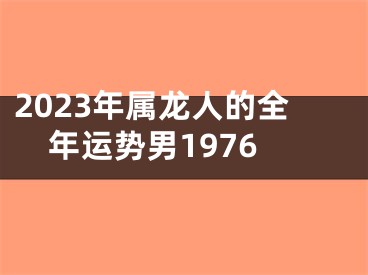 2023年属龙人的全年运势男1976