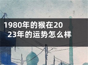 1980年的猴在2023年的运势怎么样
