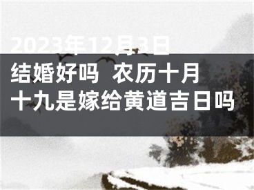 2023年12月3日结婚好吗  农历十月十九是嫁给黄道吉日吗 
