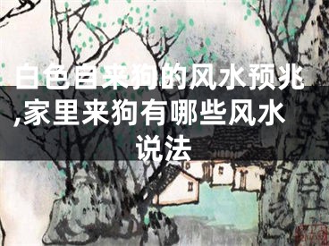 白色自来狗的风水预兆,家里来狗有哪些风水说法