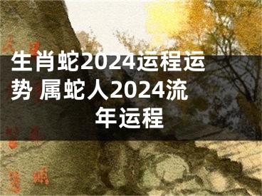 生肖蛇2024运程运势 属蛇人2024流年运程