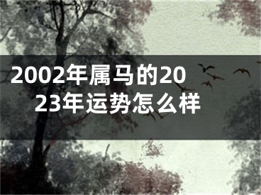 2002年属马的2023年运势怎么样