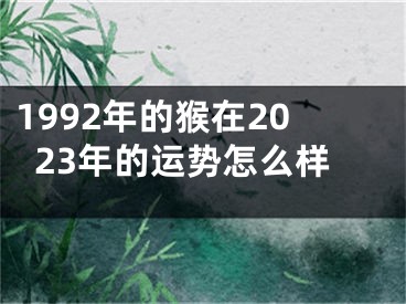 1992年的猴在2023年的运势怎么样