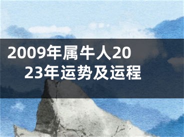 2009年属牛人2023年运势及运程