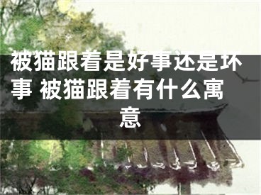 被猫跟着是好事还是坏事 被猫跟着有什么寓意