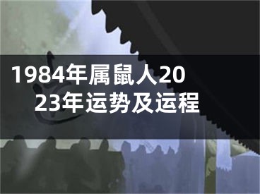 1984年属鼠人2023年运势及运程