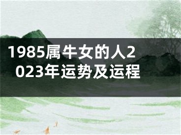 1985属牛女的人2023年运势及运程