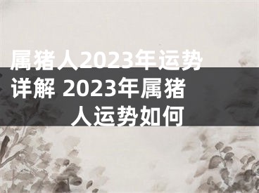 属猪人2023年运势详解 2023年属猪人运势如何