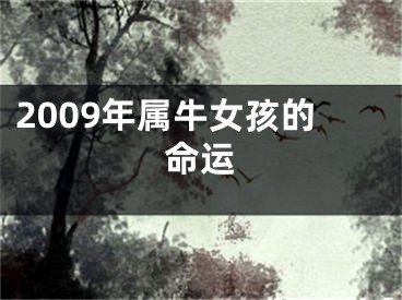 2009年属牛女孩的命运